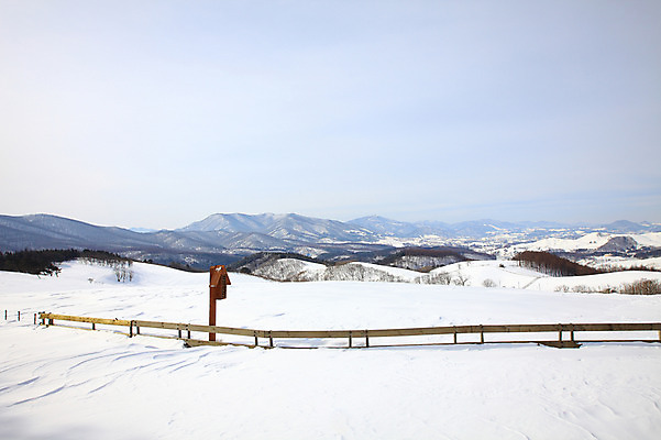 포토 JPG 주간 나무 식물 사계절 계절 설경 겨울 자연 산 한국 풍경 사람없음 야외 울타리 설원 눈 산등성이 강원도 겨울산 대관령 선자령 국내포토 자연요소 아시아 날씨 눈_날씨 담장 생태계 파일형식