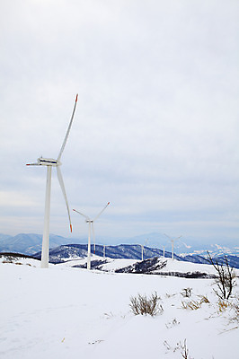 포토 JPG 주간 사계절 계절 설경 겨울 자연 산 한국 풍경 사람없음 야외 풍차 발전소 눈 풍력에너지 정상 산등성이 풍력발전소 강원도 겨울산 대관령 선자령 국내포토 자연요소 아시아 날씨 에너지 그린에너지 생태계 파일형식