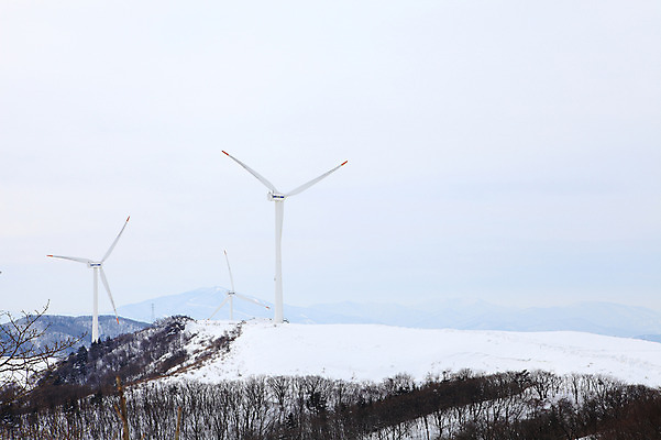 포토 JPG 주간 사계절 계절 설경 겨울 자연 산 한국 풍경 사람없음 야외 풍차 발전소 눈 풍력에너지 정상 산등성이 풍력발전소 강원도 겨울산 대관령 선자령 국내포토 자연요소 아시아 날씨 에너지 그린에너지 생태계 파일형식