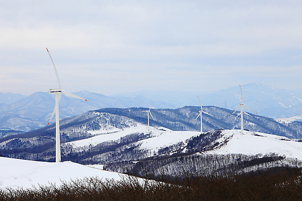 포토 JPG 주간 사계절 계절 설경 겨울 자연 산 한국 풍경 사람없음 야외 풍차 발전소 눈 풍력에너지 정상 산등성이 풍력발전소 강원도 겨울산 대관령 선자령 국내포토 자연요소 아시아 날씨 에너지 그린에너지 생태계 파일형식