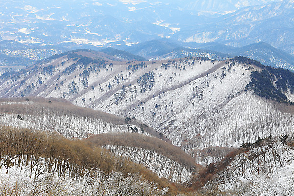 포토 JPG 주간 나무 식물 사계절 계절 설경 겨울 자연 산 한국 풍경 사람없음 야외 눈 정상 산등성이 강원도 겨울산 대관령 선자령 정산 국내포토 자연요소 아시아 날씨 생태계 파일형식
