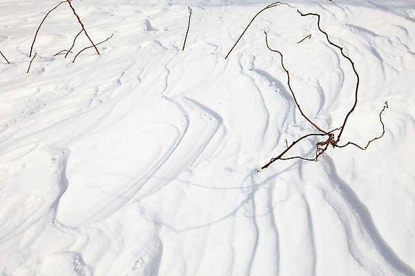 포토 JPG 주간 식물 사계절 백그라운드 설경 겨울 곡선 자국 자연 한국 풍경 사람없음 야외 쌓기 설원 흐름 나뭇가지 눈 강원도 눈길 대관령 선자령 국내포토 자연요소 나무 계절 아시아 길 선 컨셉 모션 날씨 눈_날씨 생태계 파일형식