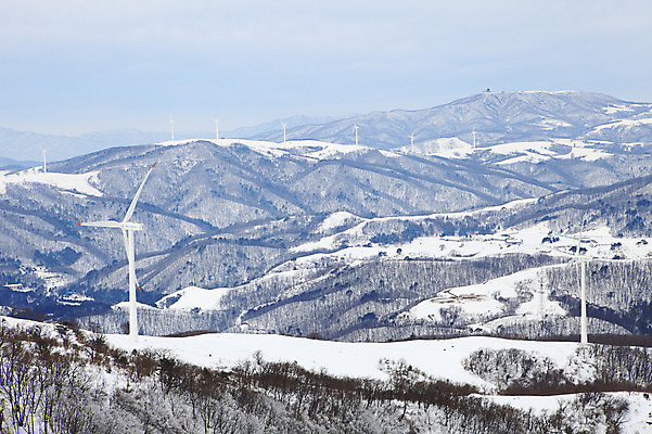 포토 JPG 주간 사계절 계절 설경 겨울 자연 산 한국 풍경 사람없음 야외 풍차 발전소 눈 풍력에너지 정상 산등성이 풍력발전소 강원도 겨울산 대관령 선자령 국내포토 자연요소 아시아 날씨 에너지 그린에너지 생태계 파일형식