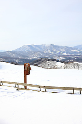 포토 JPG 주간 나무 식물 사계절 계절 설경 겨울 자연 산 한국 풍경 사람없음 야외 울타리 설원 눈 산등성이 강원도 겨울산 대관령 선자령 국내포토 자연요소 아시아 날씨 눈_날씨 담장 생태계 파일형식