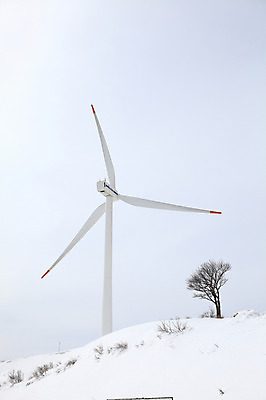 포토 JPG 주간 나무 식물 사계절 설경 겨울 자연 하늘 한국 풍경 사람없음 야외 풍차 에너지 눈 풀 풍력에너지 언덕 풍력발전소 강원도 대관령 선자령 윈드터빈 국내포토 자연요소 계절 아시아 날씨 발전기 발전소 그린에너지 생태계 파일형식