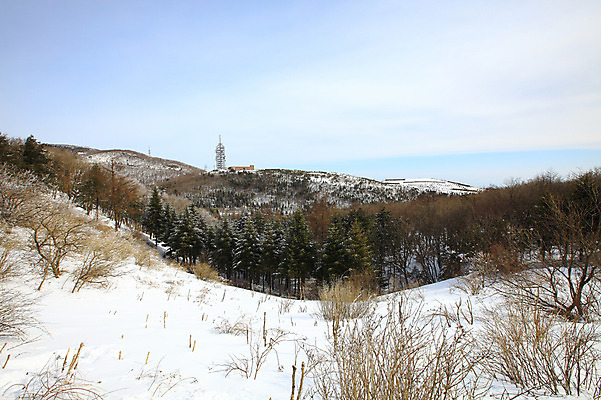 포토 JPG 주간 나무 식물 건축물 사계절 계절 설경 겨울 통신 자연 산 한국 풍경 사람없음 야외 건물 물 장비 눈 정상 산등성이 강원도 겨울산 철탑 대관령 선자령 국내포토 자연요소 건축 아시아 날씨 탑 생태계 파일형식
