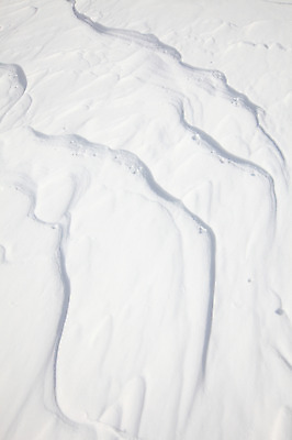포토 JPG 주간 사계절 계절 백그라운드 설경 겨울 곡선 자국 자연 한국 풍경 사람없음 야외 쌓기 설원 흐름 눈 강원도 눈길 대관령 선자령 국내포토 자연요소 아시아 길 선 컨셉 모션 날씨 눈_날씨 생태계 파일형식