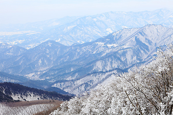 포토 JPG 주간 나무 식물 사계절 계절 설경 겨울 자연 산 한국 풍경 사람없음 야외 눈 정상 산등성이 강원도 겨울산 대관령 선자령 정산 국내포토 자연요소 아시아 날씨 생태계 파일형식