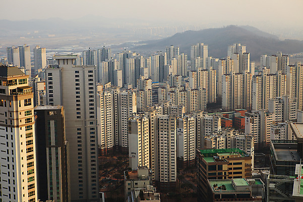 포토 JPG 주간 나무 식물 시설물 건축물 현대건축 건축 아파트 한국 풍경 빌딩 사람없음 야외 건물 도시풍경 고층빌딩 도시 항아리 도심 경기도 공동주택 동탄 동탄신도시 분양 수원 아파트단지 국내포토 자연요소 아시아 부동산 주택 도자기 신도시 파일형식