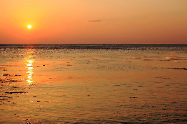포토 JPG 주간 실루엣 물결 바다 자연 하늘 한국 물그림자 풍경 해변 사람없음 야외 햇빛 태양 일출 노을 황혼 일몰 경주 경상북도 감포 송대말 국내포토 자연요소 아시아 촬영기법 그림자 경주_경상북도 경상도 생태계 파일형식
