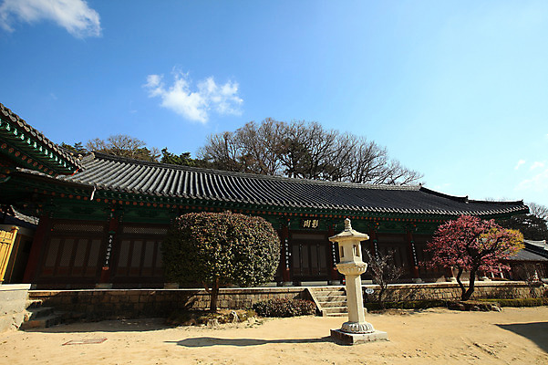 포토 JPG 주간 나무 식물 구름 한국문화 한국전통 전통 시설물 건축물 종교 전통문화 고건축 불교 종교건축 자연 종교시설 하늘 한국 돌담 기와 풍경 사람없음 야외 건물 계단 사찰 사원 경상도 경상남도 양산 기와지붕 돌계단 통도사 국내포토 양산시 자연요소 동양문화 건축 아시아 문화 비즈니스 지붕 담장 돌_바위 시설 생태계 파일형식 양산_지역