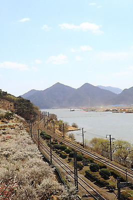 포토 JPG 주간 식물 구름 계절 자연 하늘 산 한국 공사 풍경 사람없음 야외 강 봄풍경 봄 기찻길 건설현장 중장비 뭉게구름 포크레인 경상남도 매화 매화나무 공사중 매화마을 매화축제 순매원 철도의날 국내포토 자연요소 나무 꽃 아시아 건설업 산업장비 경상도 생태계 광양 꽃축제 파일형식 법정기념일 구름_자연