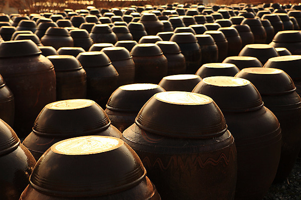 포토 JPG 주간 한국문화 한국전통 전통 그릇 선 줄 생활용품 다수 백그라운드 한국 풍경 사람없음 야외 햇빛 반사 여러개 시골 항아리 용기 경상도 경상남도 보관함 양산 토기 저장고 서운암 국내포토 자연요소 동양문화 식기 아시아 태양 도자기 용기_그릇 오브젝트 통도사 파일형식