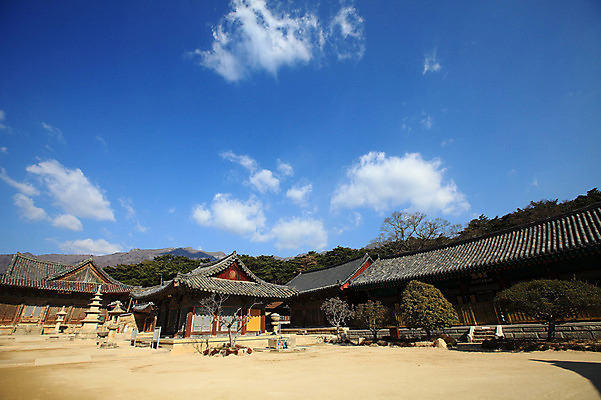 포토 JPG 주간 나무 식물 구름 한국문화 한국전통 전통 시설물 건축물 종교 전통문화 고건축 불교 종교건축 자연 종교시설 하늘 한국 기와 그림자 풍경 사람없음 야외 건물 계단 탑 나뭇가지 사찰 사원 석탑 경상도 경상남도 양산 기와지붕 바가지 돌계단 소화기 물바가지 약수물 약수터 통도사 국내포토 양산시 자연요소 동양문화 건축 아시아 문화 비즈니스 지붕 돌_바위 안전장비 소방 시설 생태계 파일형식 양산_지역