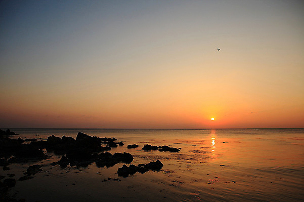 포토 JPG 주간 실루엣 물결 바다 자연 하늘 한국 물그림자 풍경 해변 사람없음 야외 햇빛 태양 일출 노을 황혼 일몰 돌_바위 바위 경주 경상북도 감포 송대말 국내포토 자연요소 아시아 촬영기법 그림자 경주_경상북도 경상도 생태계 파일형식