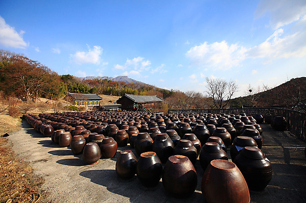 포토 JPG 주간 나무 식물 구름 한국문화 한국전통 전통 그릇 건축물 건축 선 줄 생활용품 다수 한국건축 자연 하늘 한옥 한국 기와집 그림자 풍경 사람없음 야외 건물 햇빛 여러개 시골 항아리 용기 풀 경상도 경상남도 보관함 양산 토기 저장고 서운암 국내포토 자연요소 동양문화 식기 아시아 고건축 태양 도자기 용기_그릇 오브젝트 생태계 통도사 파일형식