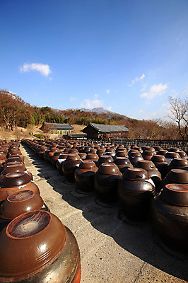 포토 JPG 주간 나무 식물 구름 한국문화 한국전통 전통 그릇 건축물 건축 선 줄 생활용품 다수 한국건축 자연 하늘 한옥 한국 기와집 그림자 풍경 사람없음 야외 건물 햇빛 여러개 시골 항아리 용기 풀 경상도 경상남도 보관함 양산 토기 저장고 서운암 국내포토 자연요소 동양문화 식기 아시아 고건축 태양 도자기 용기_그릇 오브젝트 생태계 통도사 파일형식