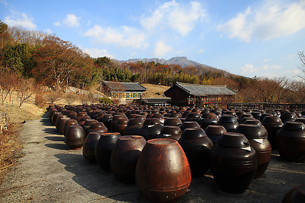 포토 JPG 주간 나무 식물 구름 한국문화 한국전통 전통 그릇 건축물 건축 선 줄 생활용품 다수 한국건축 자연 하늘 한옥 한국 기와집 그림자 풍경 사람없음 야외 건물 여러개 시골 항아리 용기 풀 경상도 경상남도 보관함 양산 토기 저장고 서운암 국내포토 자연요소 동양문화 식기 아시아 고건축 도자기 용기_그릇 오브젝트 생태계 통도사 파일형식
