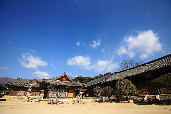 포토 JPG 주간 나무 식물 구름 한국문화 한국전통 전통 시설물 건축물 종교 전통문화 고건축 불교 종교건축 자연 종교시설 하늘 한국 기와 그림자 풍경 사람없음 야외 건물 탑 나뭇가지 사찰 사원 석탑 경상도 경상남도 양산 기와지붕 바가지 소화기 물바가지 약수물 약수터 통도사 국내포토 양산시 자연요소 동양문화 건축 아시아 문화 비즈니스 지붕 안전장비 소방 시설 생태계 파일형식 양산_지역