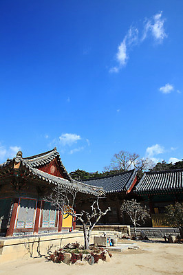 포토 JPG 주간 나무 식물 구름 한국문화 한국전통 전통 시설물 건축물 종교 전통문화 고건축 불교 종교건축 자연 종교시설 하늘 한국 기와 그림자 풍경 사람없음 야외 건물 나뭇가지 사찰 사원 경상도 경상남도 양산 기와지붕 바가지 소화기 물바가지 약수물 약수터 통도사 국내포토 양산시 자연요소 동양문화 건축 아시아 문화 비즈니스 지붕 안전장비 소방 시설 생태계 파일형식 양산_지역
