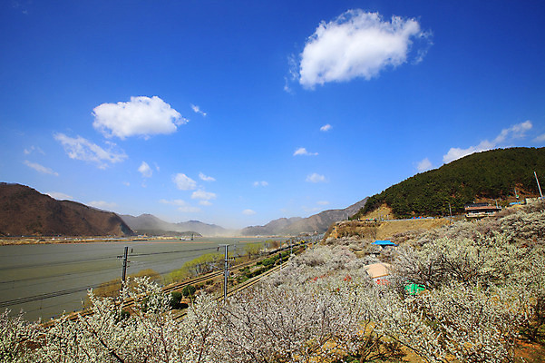 포토 JPG 주간 식물 구름 계절 자연 하늘 산 한국 공사 풍경 사람없음 야외 강 마을 봄풍경 봄 기찻길 건설현장 중장비 뭉게구름 포크레인 경상남도 매화 매화나무 공사중 매화마을 매화축제 순매원 철도의날 국내포토 자연요소 나무 꽃 아시아 건설업 산업장비 경상도 생태계 광양 꽃축제 파일형식 법정기념일 구름_자연