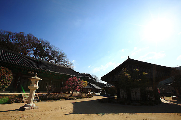 포토 JPG 주간 나무 식물 구름 한국문화 한국전통 전통 시설물 건축물 실루엣 종교 전통문화 고건축 불교 종교건축 자연 종교시설 하늘 한국 기와 그림자 풍경 사람없음 야외 건물 햇빛 계단 사찰 사원 경상도 경상남도 양산 기와지붕 돌계단 통도사 국내포토 양산시 자연요소 동양문화 건축 아시아 문화 비즈니스 지붕 촬영기법 태양 돌_바위 시설 생태계 파일형식 양산_지역