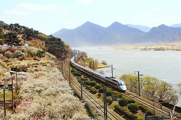 포토 JPG 주간 식물 구름 계절 자연 하늘 산 한국 공사 풍경 사람없음 야외 강 마을 봄풍경 봄 기찻길 건설현장 기차 중장비 뭉게구름 포크레인 경상남도 매화 매화나무 공사중 고속열차 매화마을 매화축제 순매원 철도의날 국내포토 자연요소 나무 꽃 아시아 육상교통 대중교통 건설업 산업장비 경상도 생태계 광양 꽃축제 파일형식 법정기념일 구름_자연