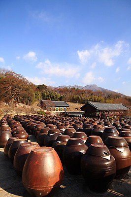 포토 JPG 주간 나무 식물 구름 한국문화 한국전통 전통 그릇 건축물 건축 선 줄 생활용품 다수 한국건축 자연 하늘 한옥 한국 기와집 그림자 풍경 사람없음 야외 건물 햇빛 여러개 시골 항아리 용기 풀 경상도 경상남도 보관함 양산 토기 저장고 서운암 국내포토 자연요소 동양문화 식기 아시아 고건축 태양 도자기 용기_그릇 오브젝트 생태계 통도사 파일형식