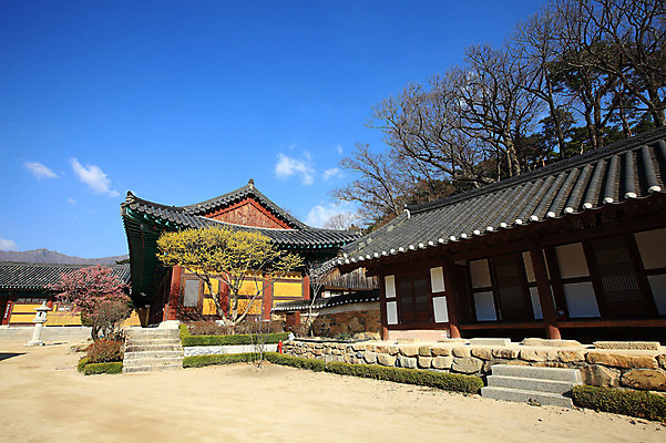 포토 JPG 주간 나무 식물 구름 한국문화 한국전통 전통 시설물 건축물 종교 전통문화 고건축 불교 종교건축 자연 종교시설 하늘 산 한국 돌담 기와 풍경 사람없음 야외 건물 담장 계단 사찰 사원 경상도 경상남도 양산 기와지붕 돌계단 통도사 국내포토 양산시 자연요소 동양문화 건축 아시아 문화 비즈니스 지붕 돌_바위 시설 생태계 파일형식 양산_지역
