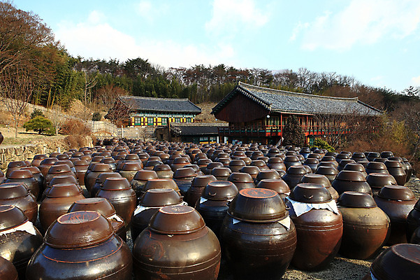 포토 JPG 주간 나무 식물 구름 한국문화 한국전통 전통 그릇 건축물 건축 선 줄 생활용품 다수 한국건축 자연 하늘 한옥 한국 기와집 풍경 사람없음 야외 건물 여러개 시골 항아리 용기 풀 경상도 경상남도 보관함 양산 토기 저장고 서운암 국내포토 자연요소 동양문화 식기 아시아 고건축 도자기 용기_그릇 오브젝트 생태계 통도사 파일형식