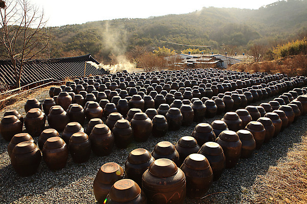 포토 JPG 주간 나무 식물 한국문화 한국전통 전통 그릇 건축물 건축 선 줄 생활용품 다수 한국건축 자연 산 한옥 한국 굴뚝 기와집 그림자 풍경 사람없음 야외 건물 햇빛 여러개 나뭇가지 시골 항아리 용기 풀 연기 경상도 경상남도 보관함 양산 토기 저장고 서운암 국내포토 자연요소 동양문화 식기 아시아 고건축 태양 도자기 용기_그릇 오브젝트 생태계 통도사 파일형식