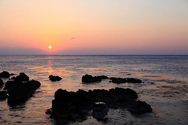 포토 JPG 주간 실루엣 물결 바다 자연 하늘 한국 물그림자 풍경 해변 사람없음 야외 햇빛 태양 일출 노을 황혼 일몰 돌_바위 바위 경주 경상북도 감포 송대말 국내포토 자연요소 아시아 촬영기법 그림자 경주_경상북도 경상도 생태계 파일형식