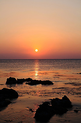 포토 JPG 주간 실루엣 물결 바다 자연 하늘 한국 물그림자 풍경 해변 사람없음 야외 햇빛 태양 일출 노을 황혼 일몰 돌_바위 바위 경주 경상북도 감포 송대말 국내포토 자연요소 아시아 촬영기법 그림자 경주_경상북도 경상도 생태계 파일형식