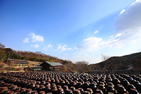 포토 JPG 주간 나무 식물 구름 한국문화 한국전통 전통 그릇 건축물 건축 선 줄 생활용품 다수 한국건축 자연 하늘 한옥 한국 기와집 풍경 사람없음 야외 건물 여러개 시골 항아리 용기 풀 경상도 경상남도 보관함 양산 토기 저장고 서운암 국내포토 자연요소 동양문화 식기 아시아 고건축 도자기 용기_그릇 오브젝트 생태계 통도사 파일형식