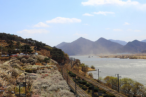 포토 JPG 주간 식물 구름 계절 자연 하늘 한국 공사 풍경 사람없음 야외 강 마을 봄풍경 봄 기찻길 건설현장 중장비 뭉게구름 포크레인 경상남도 매화나무 공사중 매화마을 매화축제 순매원 철도의날 국내포토 자연요소 나무 아시아 건설업 산업장비 경상도 생태계 광양 꽃축제 파일형식 법정기념일 구름_자연