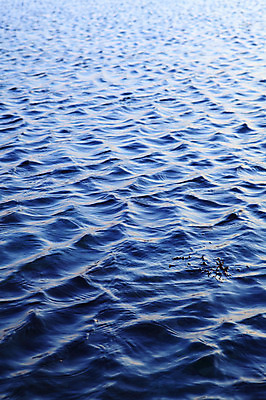 포토 JPG 주간 물결 바다 컬러 백그라운드 자연 한국 풍경 해변 사람없음 야외 물 파란색 평화 침묵 경주 수면 경상북도 감포 송대말 국내포토 자연요소 아시아 컨셉 소리 경주_경상북도 경상도 생태계 파일형식