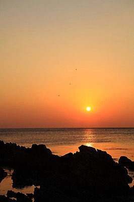 포토 JPG 주간 실루엣 물결 바다 자연 하늘 한국 물그림자 풍경 해변 사람없음 야외 햇빛 태양 일출 노을 황혼 일몰 돌_바위 바위 경주 경상북도 감포 송대말 국내포토 자연요소 아시아 촬영기법 그림자 경주_경상북도 경상도 생태계 파일형식