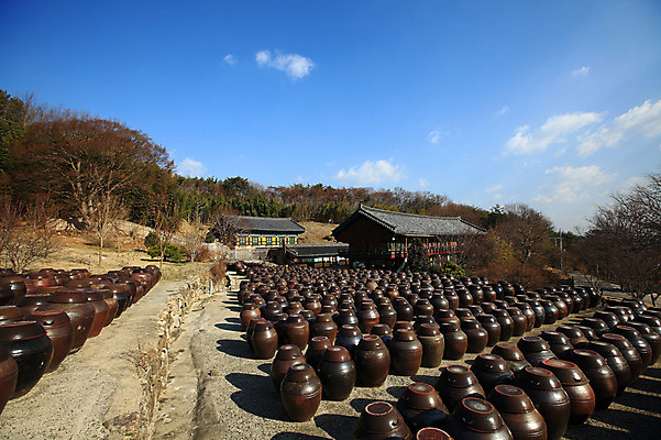 포토 JPG 주간 나무 식물 구름 한국문화 한국전통 전통 그릇 건축물 건축 선 줄 생활용품 다수 한국건축 자연 하늘 한옥 한국 기와집 풍경 사람없음 야외 건물 여러개 시골 항아리 용기 풀 경상도 경상남도 보관함 양산 토기 저장고 서운암 국내포토 자연요소 동양문화 식기 아시아 고건축 도자기 용기_그릇 오브젝트 생태계 통도사 파일형식