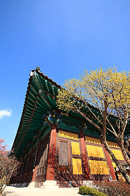 포토 JPG 주간 한국문화 한국전통 전통 시설물 건축물 종교 전통문화 고건축 불교 종교건축 자연 종교시설 한국 기와 풍경 사람없음 야외 건물 사찰 사원 경상도 경상남도 양산 기와지붕 통도사 국내포토 양산시 자연요소 동양문화 건축 아시아 문화 비즈니스 지붕 시설 생태계 파일형식 양산_지역