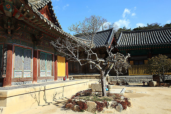 포토 JPG 주간 나무 식물 구름 한국문화 한국전통 전통 시설물 건축물 종교 전통문화 고건축 불교 종교건축 자연 종교시설 하늘 한국 기와 그림자 풍경 사람없음 야외 건물 나뭇가지 사찰 사원 경상도 경상남도 양산 기와지붕 바가지 소화기 물바가지 약수물 약수터 통도사 국내포토 양산시 자연요소 동양문화 건축 아시아 문화 비즈니스 지붕 안전장비 소방 시설 생태계 파일형식 양산_지역