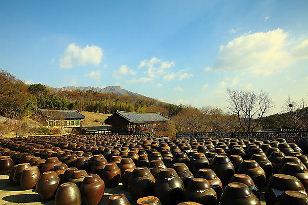 포토 JPG 주간 나무 식물 구름 한국문화 한국전통 전통 그릇 건축물 건축 선 줄 생활용품 다수 한국건축 자연 하늘 한옥 한국 기와집 그림자 풍경 사람없음 야외 건물 햇빛 여러개 시골 항아리 용기 풀 경상도 경상남도 보관함 양산 토기 저장고 서운암 국내포토 자연요소 동양문화 식기 아시아 고건축 태양 도자기 용기_그릇 오브젝트 생태계 통도사 파일형식