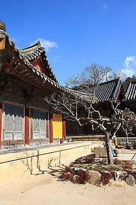 포토 JPG 주간 나무 식물 구름 한국문화 한국전통 전통 시설물 건축물 종교 전통문화 고건축 불교 종교건축 자연 종교시설 하늘 한국 기와 그림자 풍경 사람없음 야외 건물 나뭇가지 사찰 사원 경상도 경상남도 양산 기와지붕 바가지 소화기 물바가지 약수물 약수터 통도사 국내포토 양산시 자연요소 동양문화 건축 아시아 문화 비즈니스 지붕 안전장비 소방 시설 생태계 파일형식 양산_지역