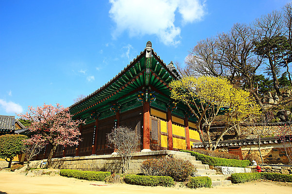 포토 JPG 주간 나무 식물 구름 한국문화 한국전통 전통 시설물 건축물 종교 전통문화 고건축 불교 종교건축 자연 종교시설 하늘 산 한국 돌담 기와 풍경 사람없음 야외 건물 담장 계단 사찰 사원 경상도 경상남도 양산 기와지붕 돌계단 소화전 통도사 국내포토 양산시 자연요소 동양문화 건축 아시아 문화 비즈니스 지붕 돌_바위 안전장비 시설 생태계 파일형식 양산_지역