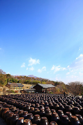 포토 JPG 주간 나무 식물 구름 한국문화 한국전통 전통 그릇 건축물 건축 선 줄 생활용품 다수 한국건축 자연 하늘 한옥 한국 기와집 풍경 사람없음 야외 건물 여러개 시골 항아리 용기 풀 경상도 경상남도 보관함 양산 토기 저장고 서운암 국내포토 자연요소 동양문화 식기 아시아 고건축 도자기 용기_그릇 오브젝트 생태계 통도사 파일형식