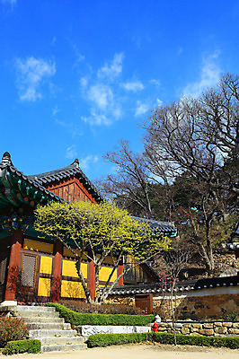 포토 JPG 주간 나무 식물 구름 한국문화 한국전통 전통 시설물 건축물 종교 전통문화 고건축 불교 종교건축 자연 종교시설 하늘 산 한국 돌담 기와 풍경 사람없음 야외 건물 담장 계단 사찰 사원 경상도 경상남도 양산 기와지붕 돌계단 소화전 통도사 국내포토 양산시 자연요소 동양문화 건축 아시아 문화 비즈니스 지붕 돌_바위 안전장비 시설 생태계 파일형식 양산_지역