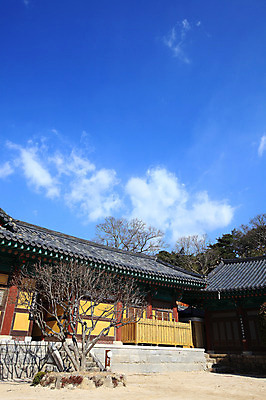 포토 JPG 주간 나무 식물 구름 한국문화 한국전통 전통 시설물 건축물 종교 전통문화 고건축 불교 종교건축 자연 종교시설 하늘 산 한국 기와 풍경 사람없음 야외 건물 계단 사찰 사원 경상도 경상남도 양산 기와지붕 돌계단 통도사 국내포토 양산시 자연요소 동양문화 건축 아시아 문화 비즈니스 지붕 돌_바위 시설 생태계 파일형식 양산_지역