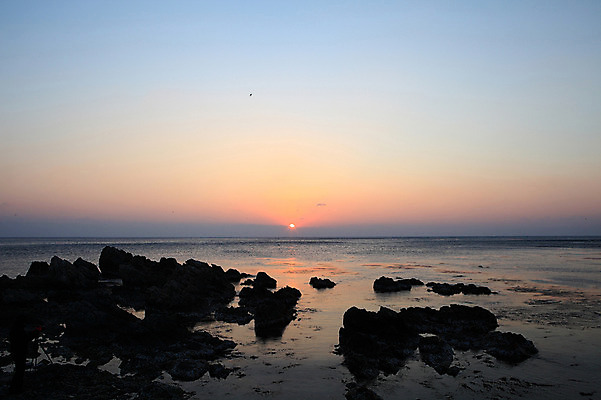 포토 JPG 주간 실루엣 물결 바다 자연 하늘 한국 물그림자 풍경 해변 사람없음 야외 햇빛 태양 일출 노을 황혼 일몰 돌_바위 바위 경주 경상북도 감포 송대말 국내포토 자연요소 아시아 촬영기법 그림자 경주_경상북도 경상도 생태계 파일형식