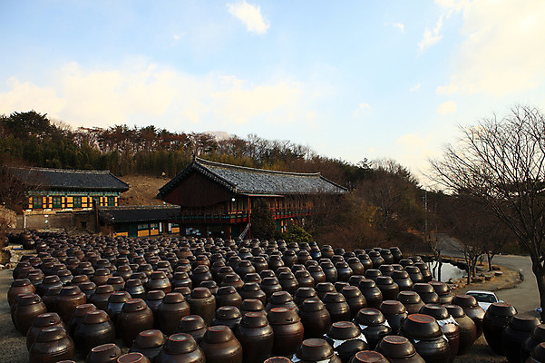 포토 JPG 주간 나무 식물 구름 한국문화 한국전통 전통 그릇 건축물 건축 선 줄 생활용품 다수 한국건축 자연 하늘 한옥 한국 기와집 풍경 사람없음 야외 건물 여러개 시골 항아리 용기 풀 경상도 경상남도 보관함 양산 토기 저장고 서운암 국내포토 자연요소 동양문화 식기 아시아 고건축 도자기 용기_그릇 오브젝트 생태계 통도사 파일형식