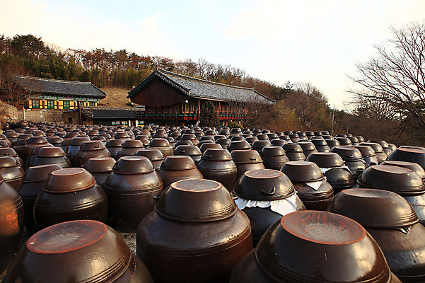 포토 JPG 주간 나무 식물 구름 한국문화 한국전통 전통 그릇 건축물 건축 선 줄 생활용품 다수 한국건축 자연 하늘 한옥 한국 기와집 풍경 사람없음 야외 건물 여러개 시골 항아리 용기 풀 경상도 경상남도 보관함 양산 토기 저장고 서운암 국내포토 자연요소 동양문화 식기 아시아 고건축 도자기 용기_그릇 오브젝트 생태계 통도사 파일형식