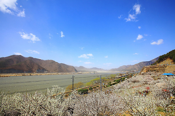 포토 JPG 주간 식물 구름 계절 자연 하늘 산 한국 공사 풍경 사람없음 야외 강 봄풍경 봄 기찻길 건설현장 기차 중장비 포크레인 경상남도 매화 매화나무 공사중 매화마을 매화축제 순매원 철도의날 국내포토 자연요소 나무 꽃 아시아 육상교통 대중교통 건설업 산업장비 경상도 생태계 광양 꽃축제 파일형식 법정기념일